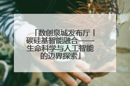 数创泉城发布厅丨碳硅基智能融合——生命科学与人工智能的边界探索