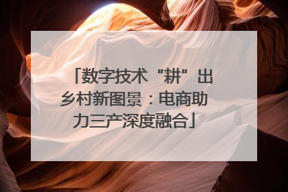 数字技术“耕”出乡村新图景：电商助力三产深度融合
