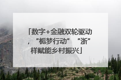 数字+金融双轮驱动，“栀梦行动”“浙”样赋能乡村振兴