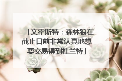 文霍斯特：森林狼在截止日前非常认真地想要交易得到杜兰特