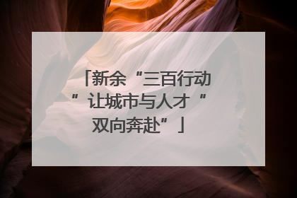 新余“三百行动”让城市与人才“双向奔赴”