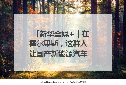 新华全媒+｜在霍尔果斯，这群人让国产新能源汽车“跑”向中亚
