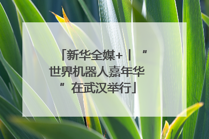 新华全媒+丨“世界机器人嘉年华”在武汉举行