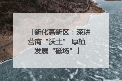 新化高新区：深耕营商“沃土” 厚植发展“磁场”
