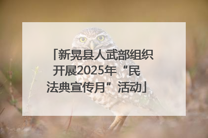 新晃县人武部组织开展2025年“民法典宣传月”活动