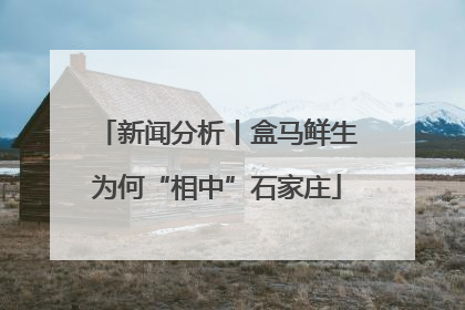 新闻分析丨盒马鲜生为何“相中”石家庄