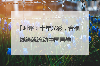 时评：十年光影，合福线绘就流动中国画卷
