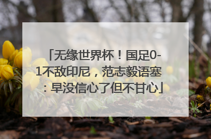 无缘世界杯！国足0-1不敌印尼，范志毅语塞：早没信心了但不甘心