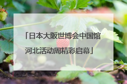 日本大阪世博会中国馆河北活动周精彩启幕
