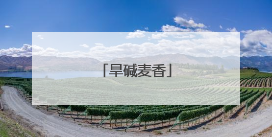 旱碱麦香