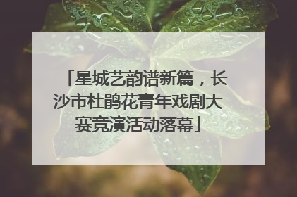 星城艺韵谱新篇，长沙市杜鹃花青年戏剧大赛竞演活动落幕