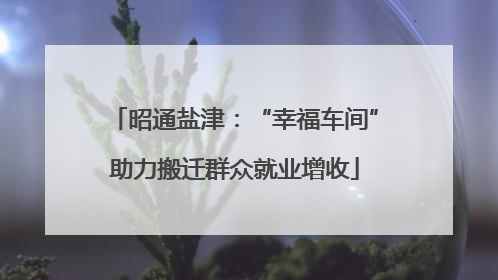 昭通盐津：“幸福车间”助力搬迁群众就业增收