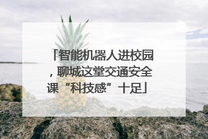 智能机器人进校园，聊城这堂交通安全课“科技感”十足