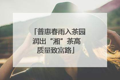 普惠春雨入茶园 润出“湘”茶高质量致富路