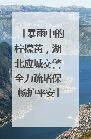 暴雨中的柠檬黄，湖北应城交警全力疏堵保畅护平安