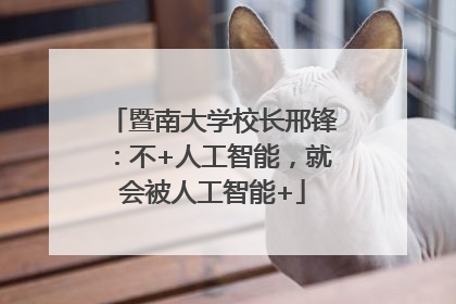 暨南大学校长邢锋：不+人工智能，就会被人工智能+