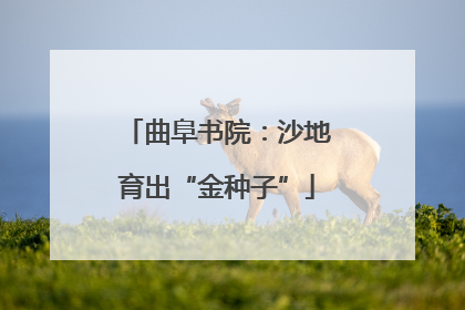 曲阜书院：沙地育出“金种子”