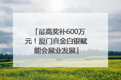 最高奖补600万元！厦门真金白银赋能会展业发展