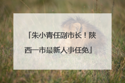 朱小青任副市长！陕西一市最新人事任免