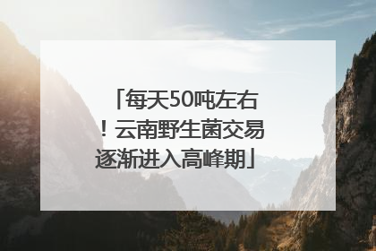 每天50吨左右！云南野生菌交易逐渐进入高峰期