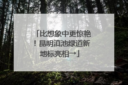 比想象中更惊艳！昆明滇池绿道新地标亮相→