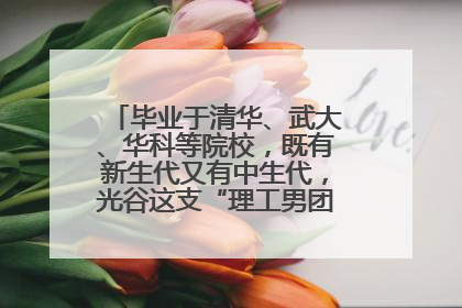 毕业于清华、武大、华科等院校，既有新生代又有中生代，光谷这支“理工男团”为何“出道”？
