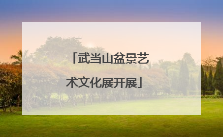 武当山盆景艺术文化展开展