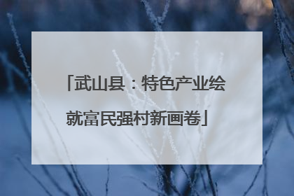 武山县：特色产业绘就富民强村新画卷