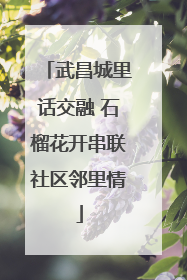 武昌城里话交融 石榴花开串联社区邻里情