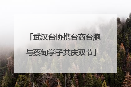 武汉台协携台商台胞与蔡甸学子共庆双节