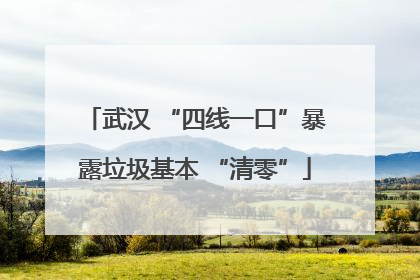 武汉 “四线一口”暴露垃圾基本 “清零”