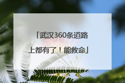 武汉360条道路上都有了！能救命