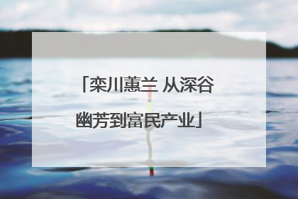 栾川蕙兰 从深谷幽芳到富民产业