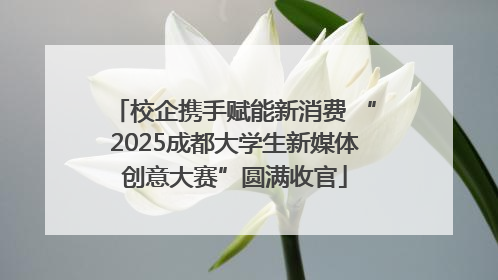 校企携手赋能新消费 “2025成都大学生新媒体创意大赛”圆满收官