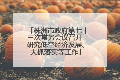 株洲市政府第七十三次常务会议召开 研究低空经济发展、大抓落实等工作