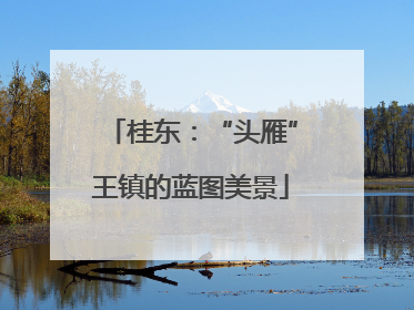 桂东：“头雁”王镇的蓝图美景