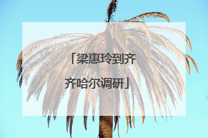 梁惠玲到齐齐哈尔调研