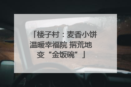 楼子村：麦香小饼温暖幸福院 撂荒地变“金饭碗”