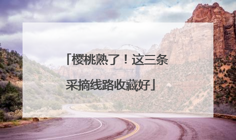 樱桃熟了！这三条采摘线路收藏好