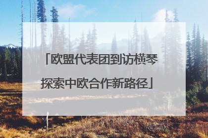 欧盟代表团到访横琴 探索中欧合作新路径