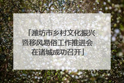 潍坊市乡村文化振兴暨移风易俗工作推进会在诸城成功召开