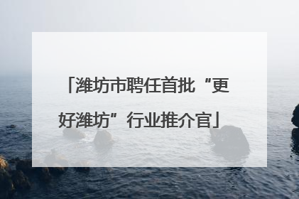 潍坊市聘任首批“更好潍坊”行业推介官
