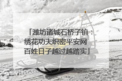 潍坊诸城石桥子镇：绣花功夫织密平安网 百姓日子越过越踏实
