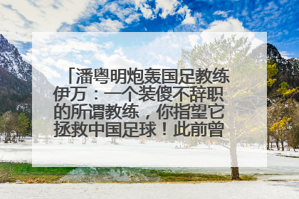 潘粤明炮轰国足教练伊万：一个装傻不辞职的所谓教练，你指望它拯救中国足球！此前曾多次发文评价国足