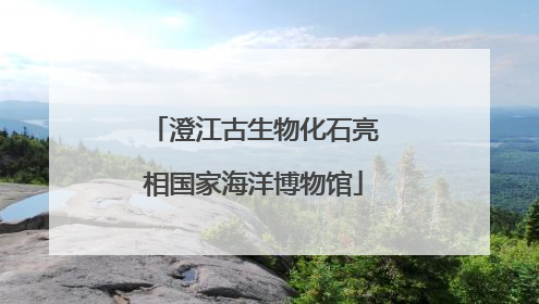 澄江古生物化石亮相国家海洋博物馆