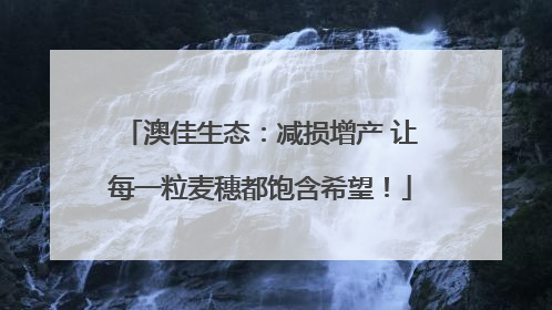 澳佳生态：减损增产 让每一粒麦穗都饱含希望！