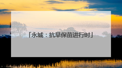 永城：抗旱保苗进行时