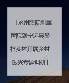 永州职院附属医院到宁远县桑梓头村开展乡村振兴专题调研