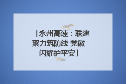 永州高速：联建聚力筑防线 党徽闪耀护平安