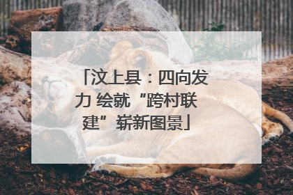 汶上县：四向发力 绘就“跨村联建”崭新图景